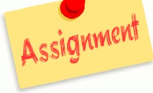 assignment help online